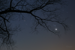 and star clusters among branches
